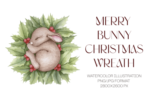 Christmas Sleeping Bunny in Holly Branch Illustrations